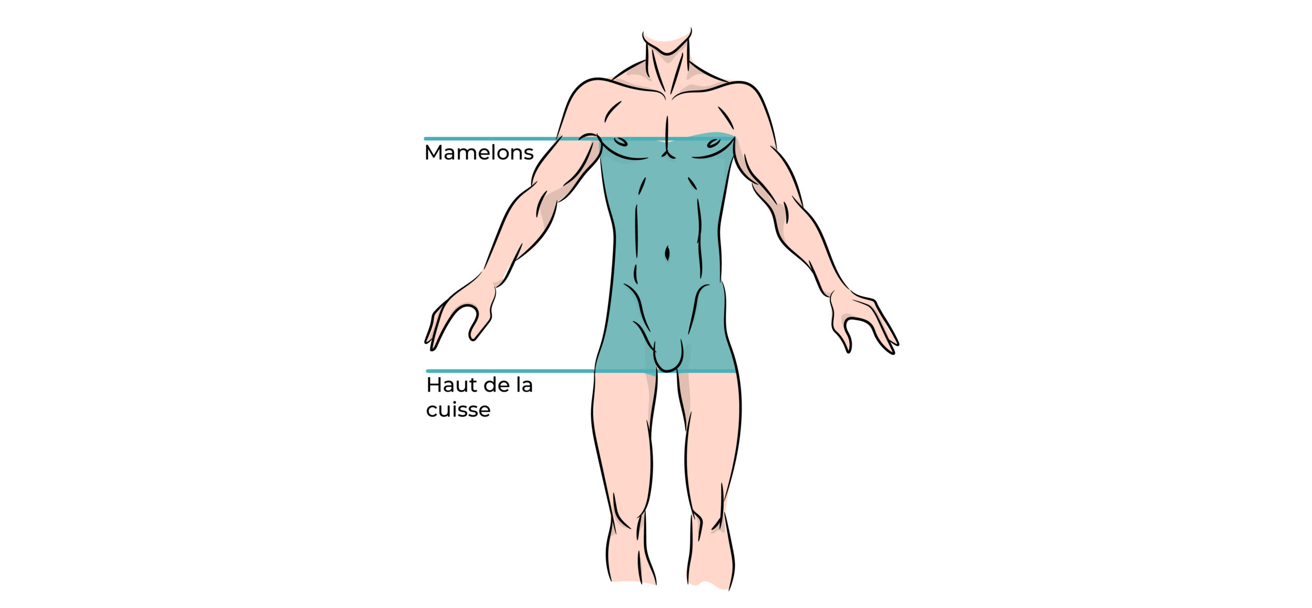 https://coloproctologie.com/wp-content/uploads/2022/08/illustration-rasage-abdominal-poréopératoire-scaled.jpeg